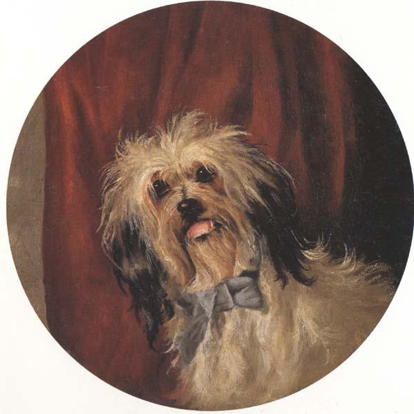 Percy Gray The Artist's Dog (mk42) oil painting image